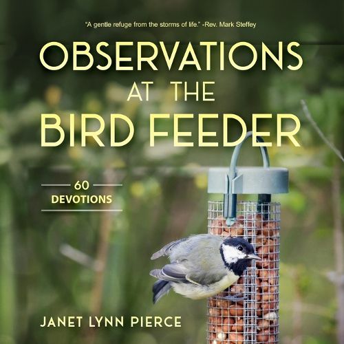Cover image for Observations at the Bird Feeder