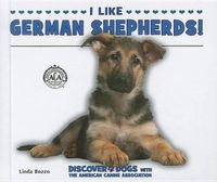 Cover image for I Like German Shepherds!