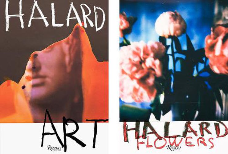 Cover image for Francois Halard: Art & Flowers