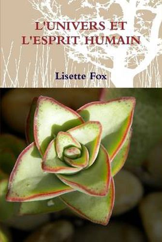 Cover image for L'Univers Et L'Esprit Humain