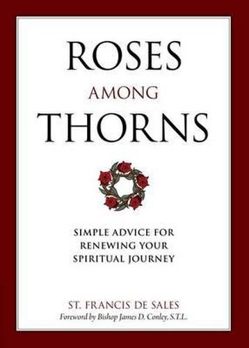 Cover image for Roses Among Thorns: Simple Advice for Renewing Your Spiritual Journey