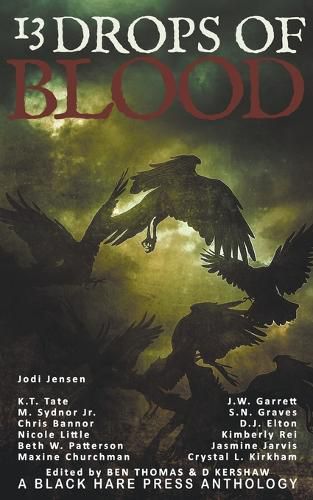 Cover image for 13 Drops of Blood