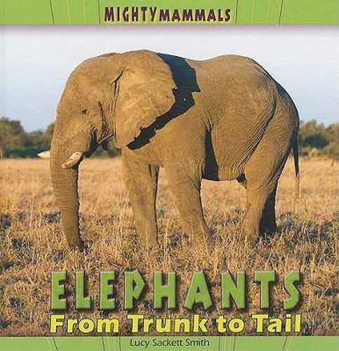 Cover image for Elephants