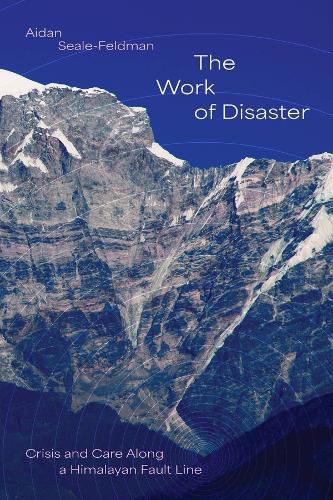 Cover image for The Work of Disaster