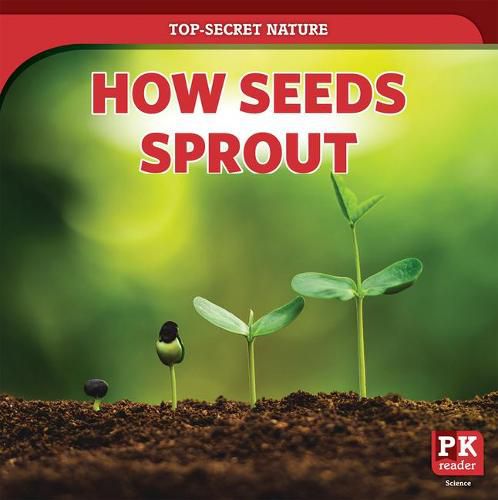 How Seeds Sprout