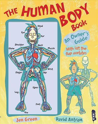 Cover image for The Human Body Book: An Owner's Guide
