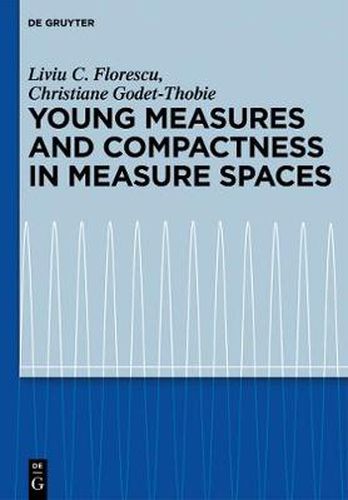 Cover image for Young Measures and Compactness in Measure Spaces