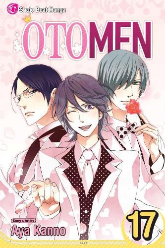 Cover image for Otomen, Vol. 17