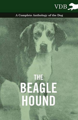 Cover image for The Beagle Hound - A Complete Anthology of the Dog -