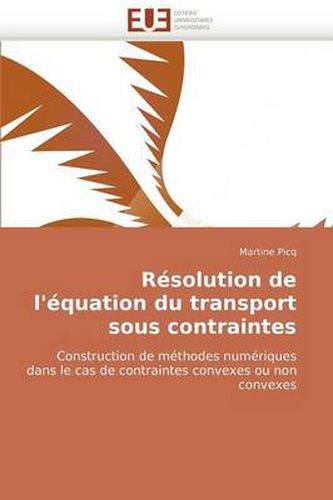 Cover image for Rsolution de L'Quation Du Transport Sous Contraintes