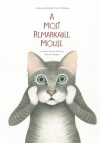 Cover image for A Most Mysterious Mouse