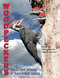 Cover image for Woodpeckers