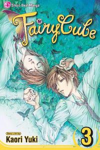 Cover image for Fairy Cube, Vol. 3: The Last Wing