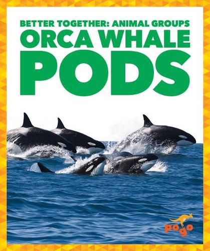 Cover image for Orca Whale Pods