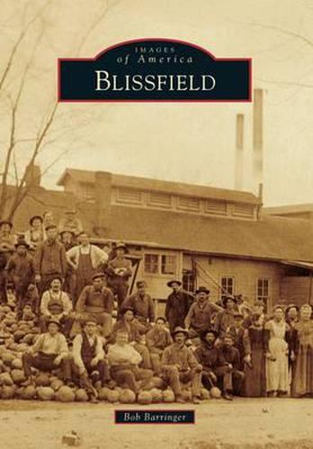 Cover image for Blissfield