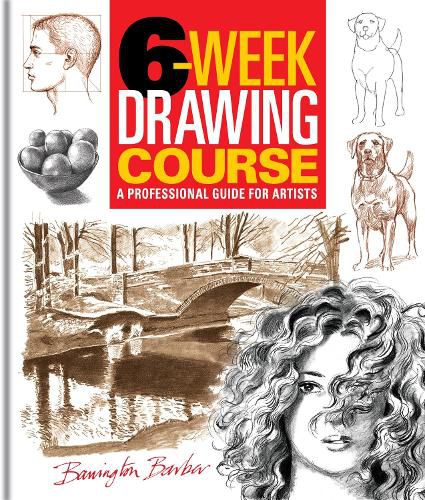 Cover image for 6-Week Drawing Course