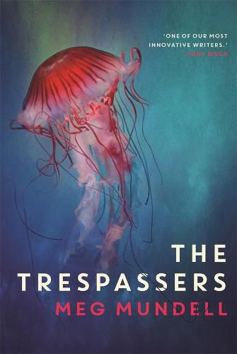 Cover image for The Trespassers