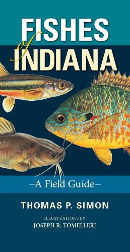 Cover image for Fishes of Indiana: A Field Guide