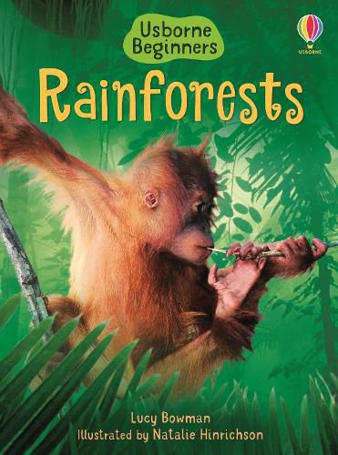 Cover image for Rainforests