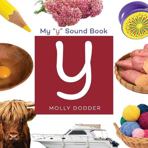 Cover image for My Y Book
