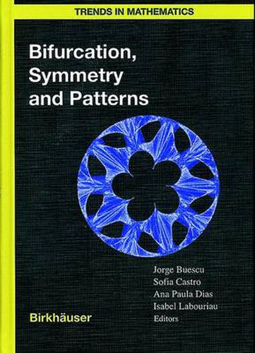 Cover image for Bifurcation, Symmetry and Patterns