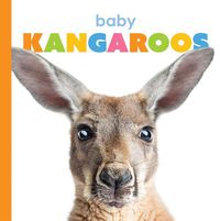 Cover image for Baby Kangaroos