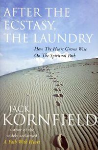 Cover image for After the Ecstacy, the Laundry