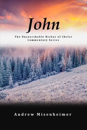 Cover image for John