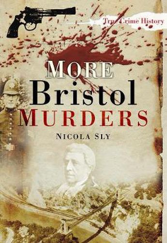 Cover image for More Bristol Murders