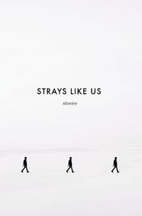 Cover image for Strays Like Us