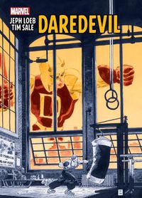 Cover image for Jeph Loeb & Tim Sale: Daredevil