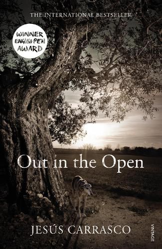 Cover image for Out in the Open