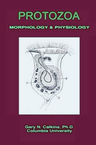 Cover image for Protozoa Morphology & Physiology (Microbiology Series)