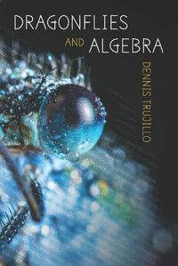 Cover image for Dragonflies and Algebra