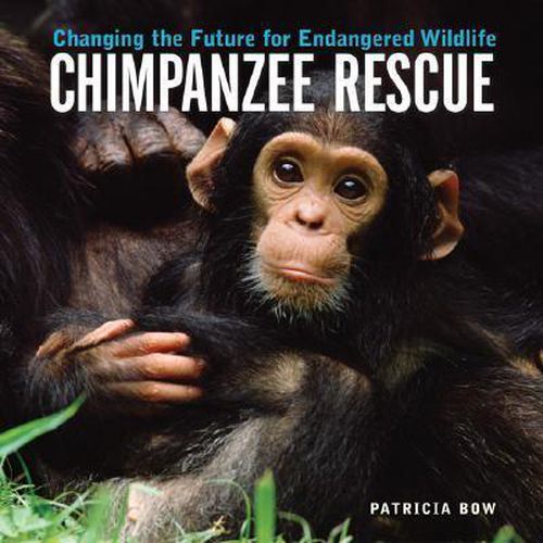 Cover image for Chimpanzee Rescue