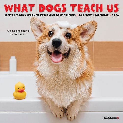 Cover image for What Dogs Teach Us 2026 7 X 7 Mini Wall Calendar