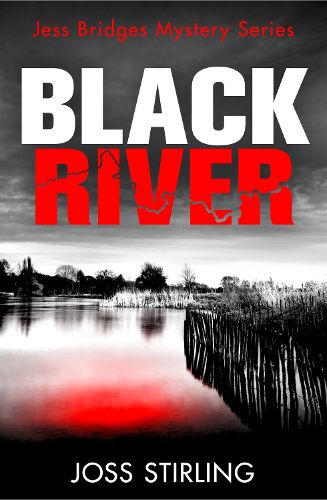 Cover image for Black River