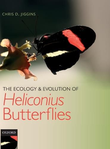 Cover image for The Ecology and Evolution of Heliconius Butterflies