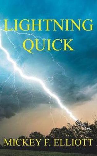 Cover image for Lightning Quick