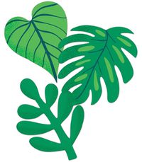 Cover image for One World Tropical Leaves Cut-Outs