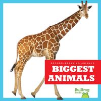 Cover image for Biggest Animals