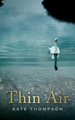 Cover image for Thin Air