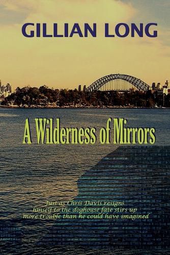 Cover image for A Wilderness of Mirrors