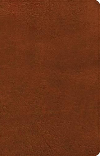 Cover image for CSB Thinline Bible, Burnt Sienna LeatherTouch
