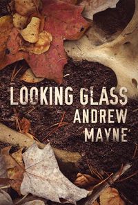 Cover image for Looking Glass