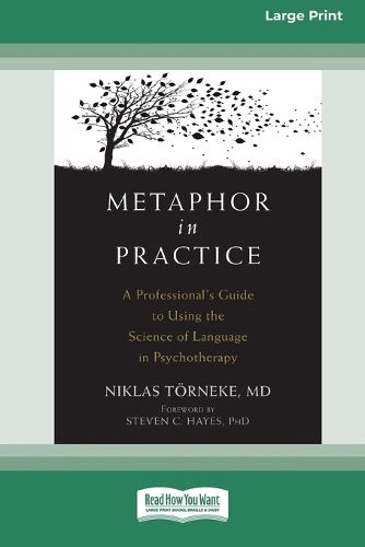 Cover image for Metaphor in Practice