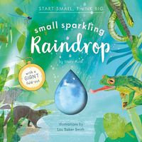 Cover image for Small Sparkling Raindrop (Start Small, Think Big #5)