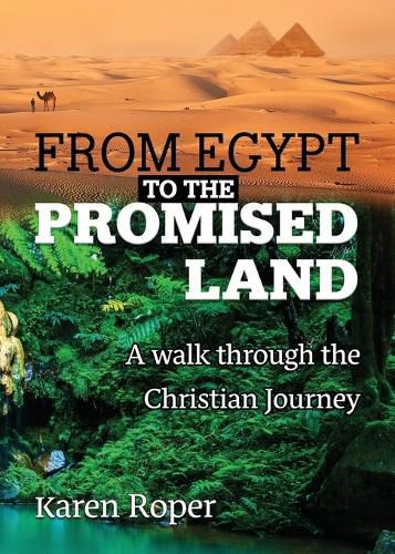 Cover image for From Egypt to the Promised Land