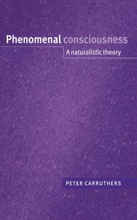 Cover image for Phenomenal Consciousness: A Naturalistic Theory