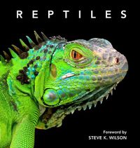 Cover image for Reptiles